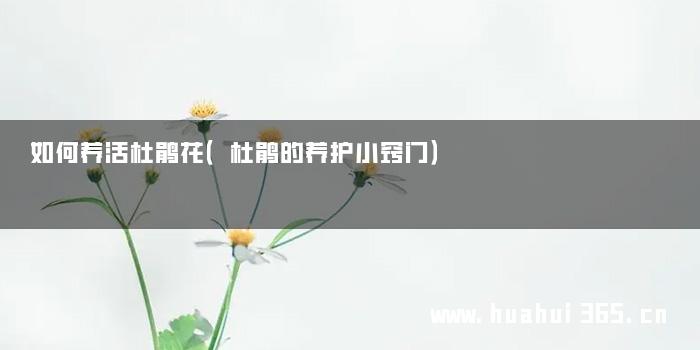 如何养活杜鹃花（杜鹃的养护小窍门）