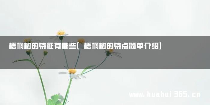 梧桐树的特征有哪些（梧桐树的特点简单介绍）