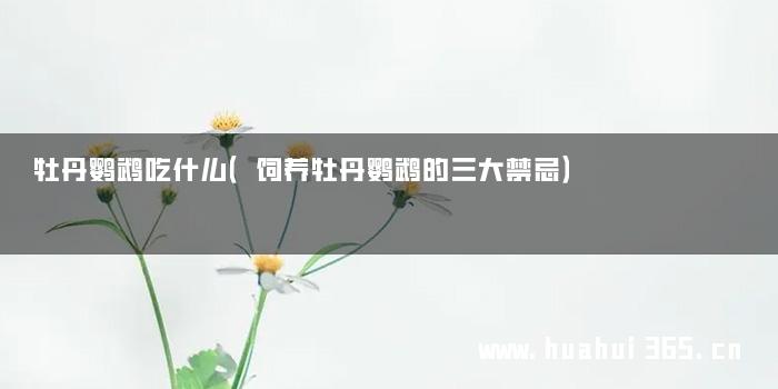 牡丹鹦鹉吃什么（饲养牡丹鹦鹉的三大禁忌）