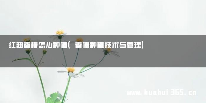 红油香椿怎么种植（香椿种植技术与管理）