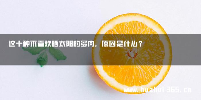 这十种不喜欢晒太阳的多肉，原因是什么？