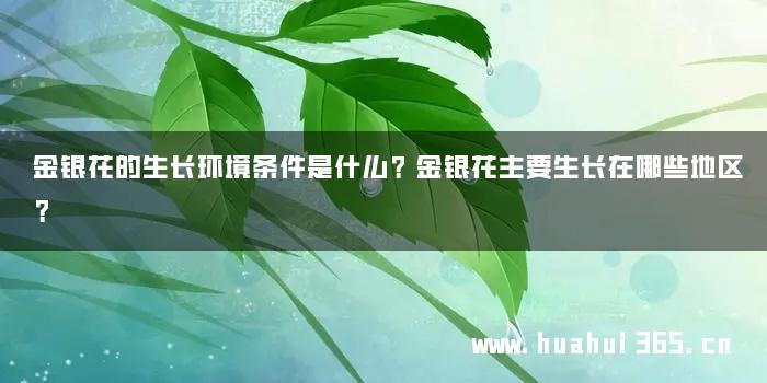 金银花的生长环境条件是什么？金银花主要生长在哪些地区？